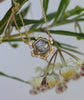 Stella Diamond Necklace - Rosedale Jewelry